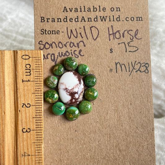 Wild Horse / Sonoran Cabochon - Mix238 117C205C-32C6-4DF5-BA99-7651D57B1E66 Brandedandwild.com