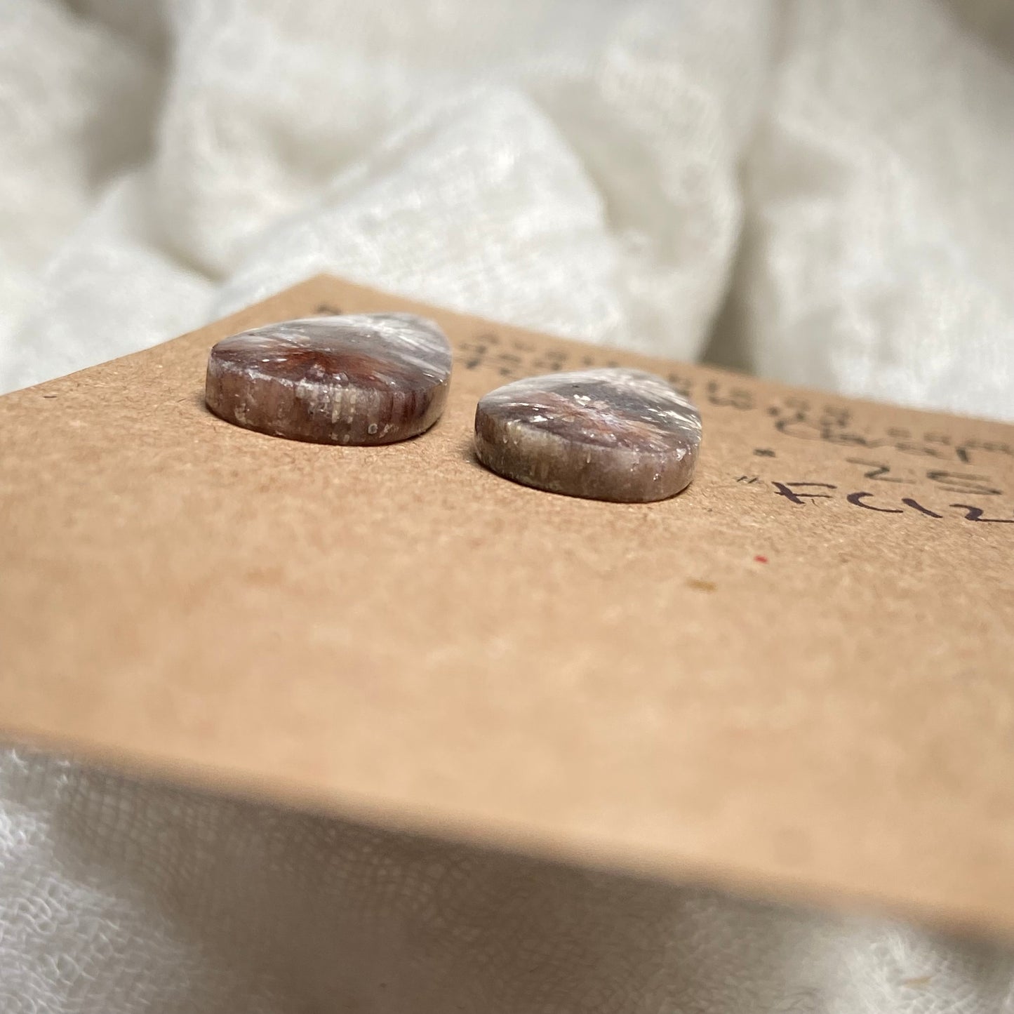 Fossil Coral Cabochon - FC120