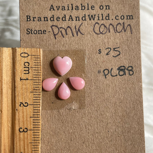 Pink Conch Cabochon - PC88 11E70BC3-56E8-4C0F-A0CF-645B86BD89FD Brandedandwild.com