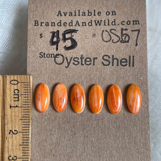 Oyster Shell Cabochon - OS57 11E91A6D-5533-4404-A8B6-B0F7DC76E98D Brandedandwild.com