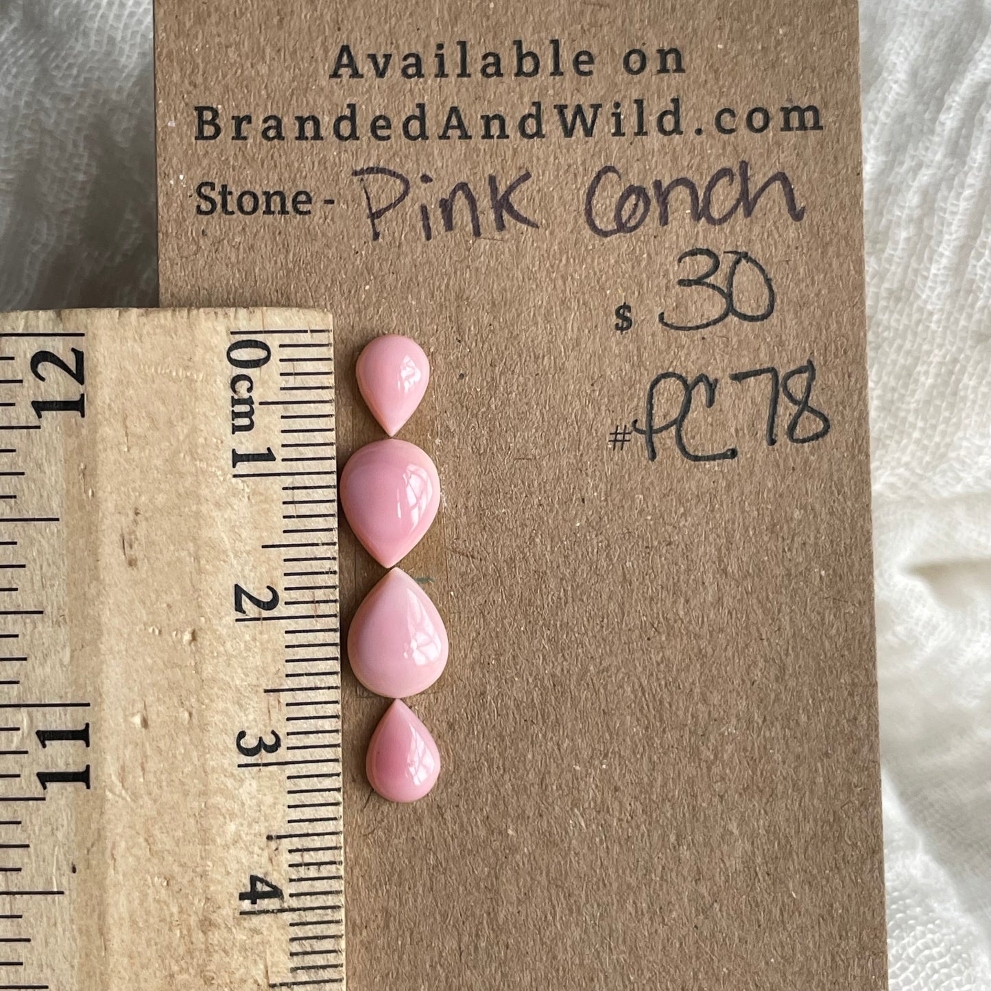 Pink Conch Cabochon - PC78 120F6AE7-2D55-4F36-BA44-586680822B00 Brandedandwild.com