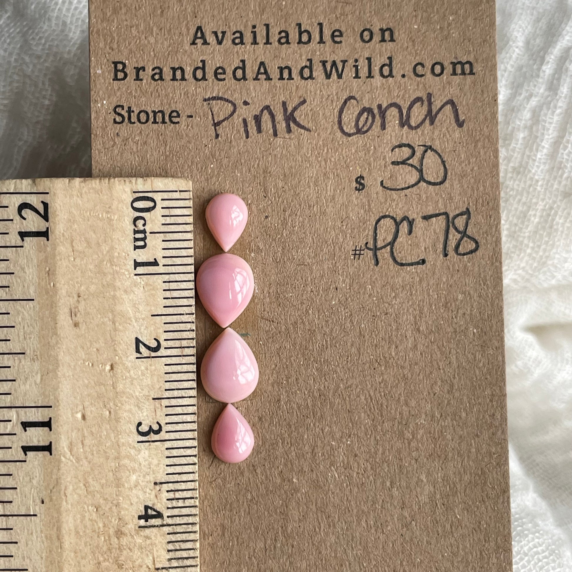 Pink Conch Cabochon - PC78 120F6AE7-2D55-4F36-BA44-586680822B00 Brandedandwild.com