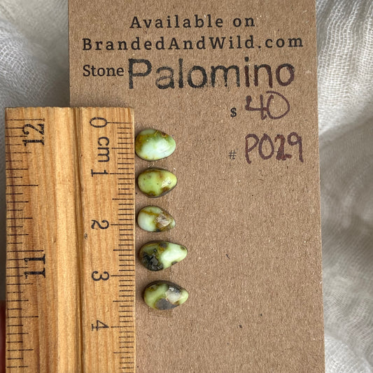 Palomino Cabochon - P029