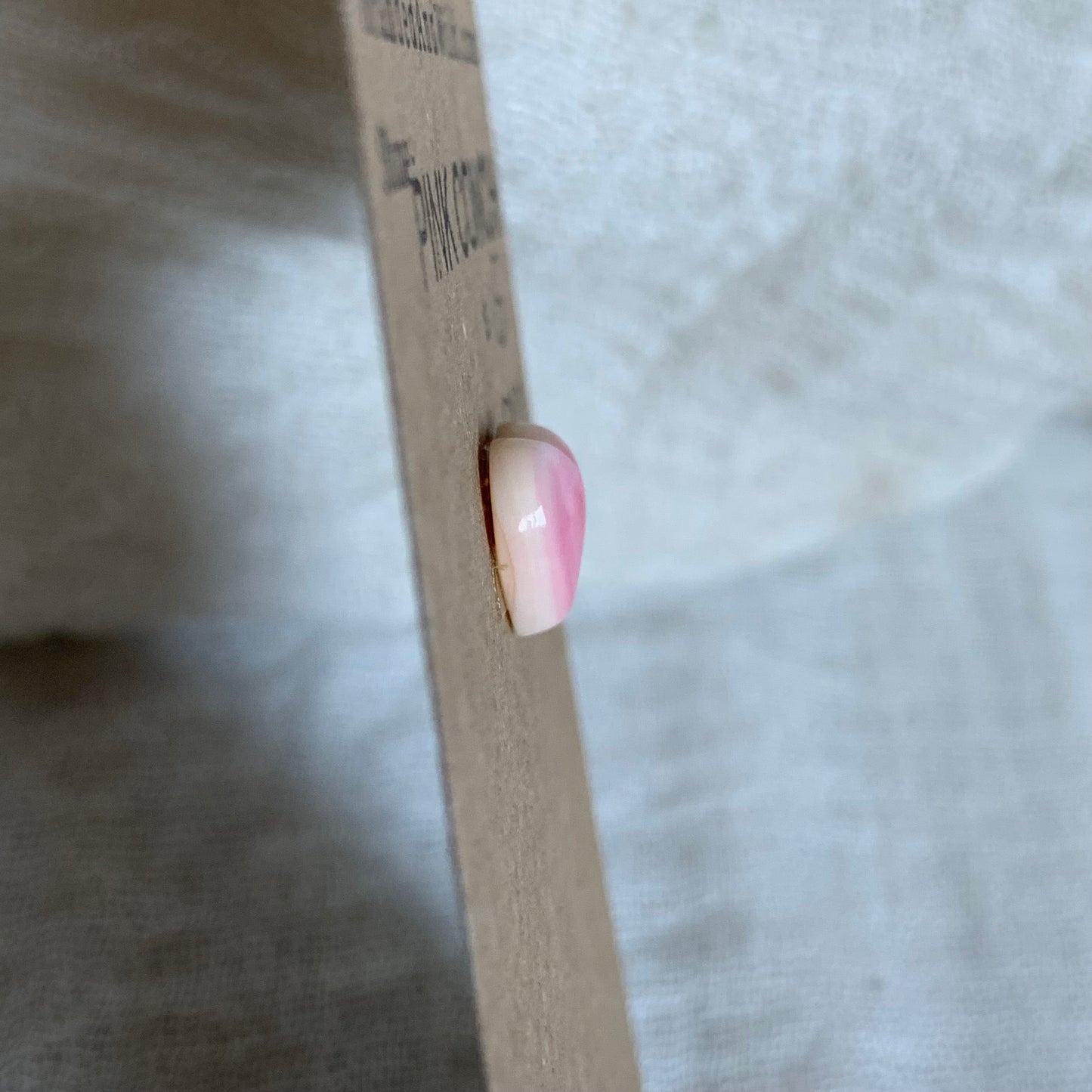 Pink Conch Cabochon - PC21