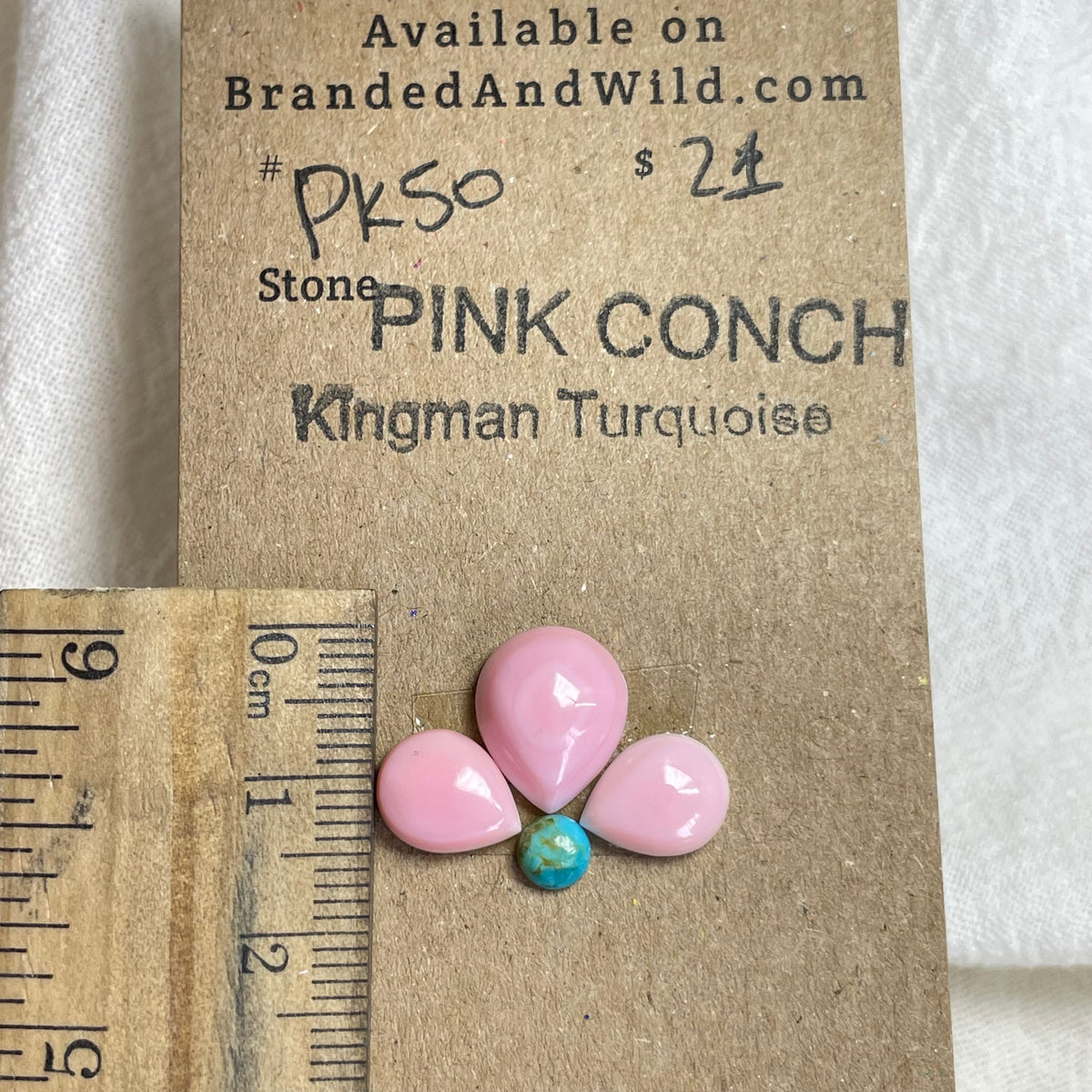 Pink Conch / Kingman Turquoise Cabochon - PK50 1255001E-3A68-46DE-9247-8F9C114F8E71 Brandedandwild.com