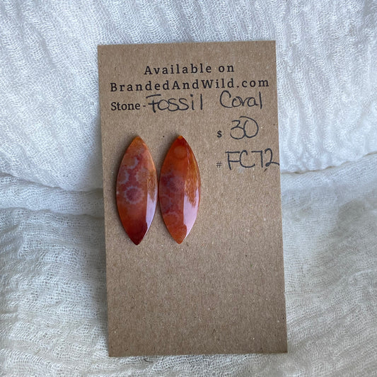 Fossil Coral Cabochon - FC72
