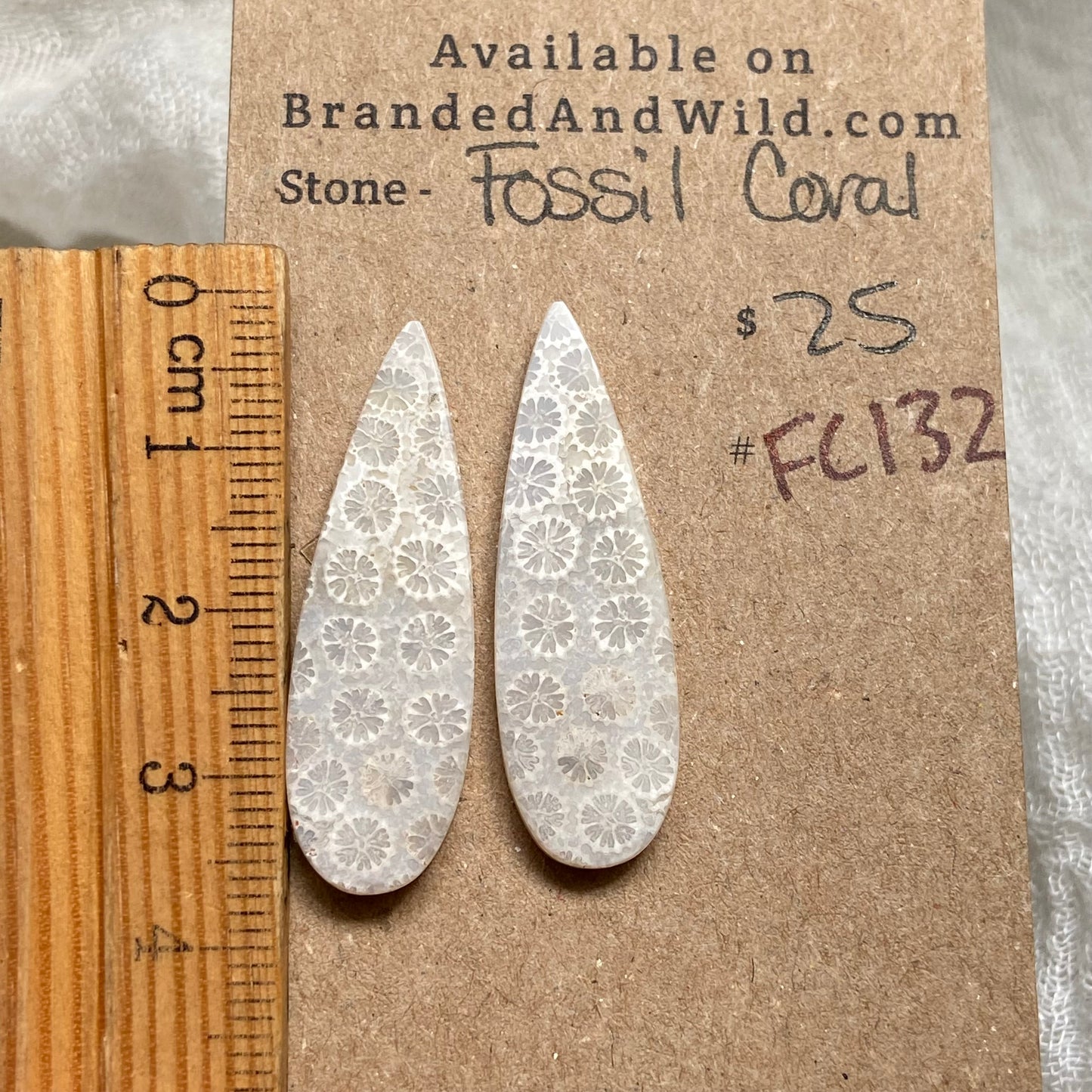 Fossil Coral Cabochon - FC132
