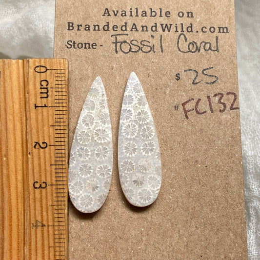 Fossil Coral Cabochon - FC132 12809BEE-C4CF-4A24-AED1-0BA7AA108516 Brandedandwild.com