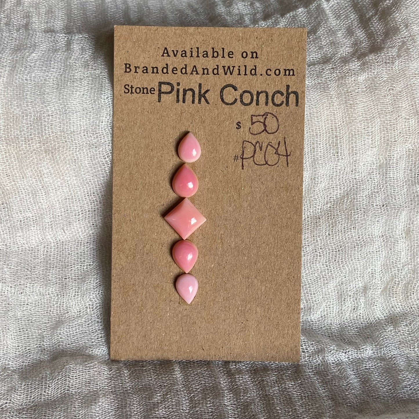 Pink Conch Cabochon - PC04