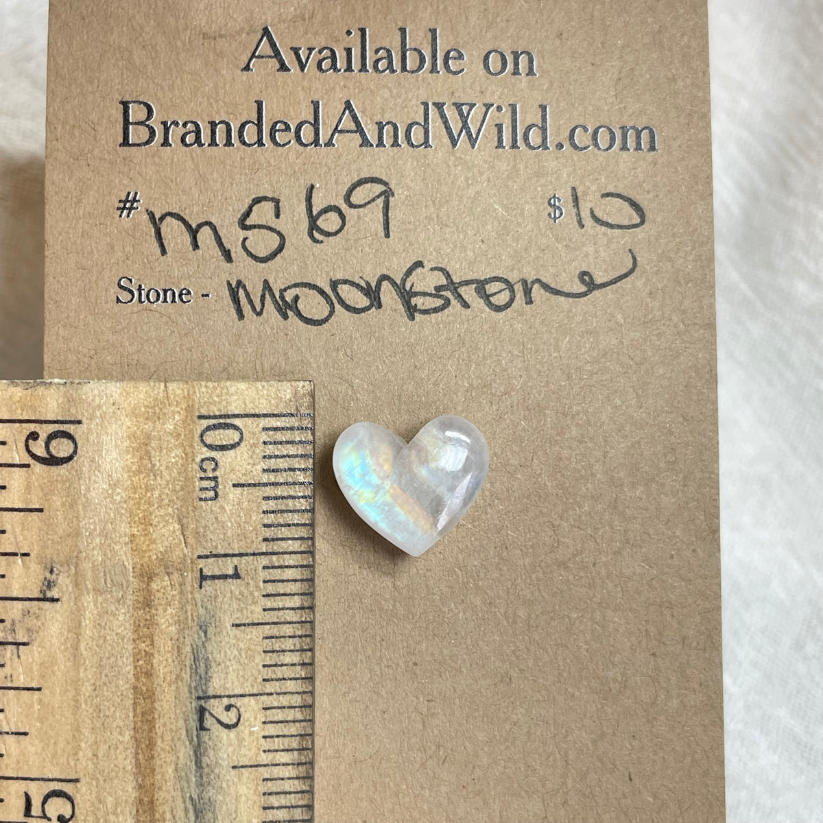 Moonstone Cabochon - MS69