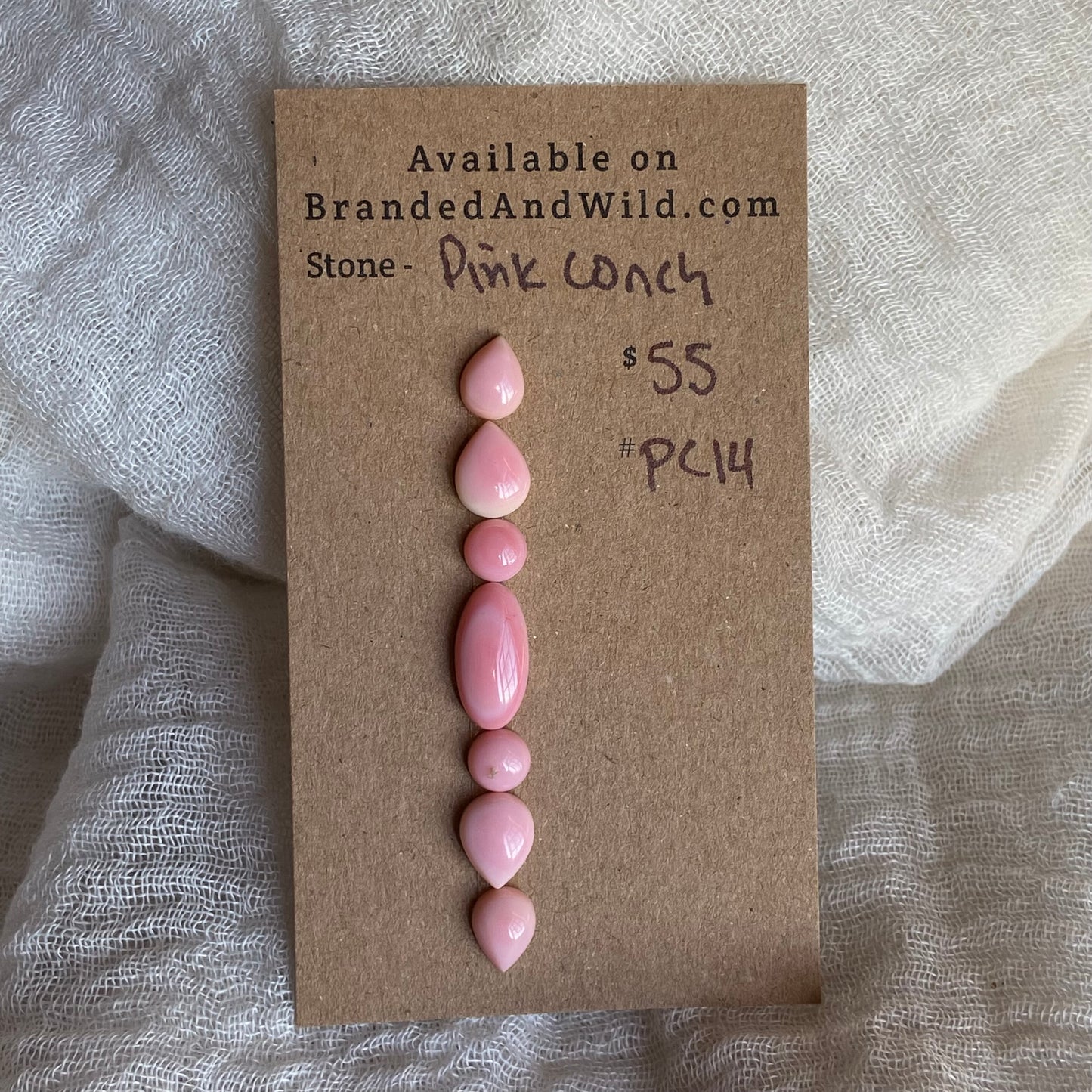 Pink Conch Cabochon - PC14