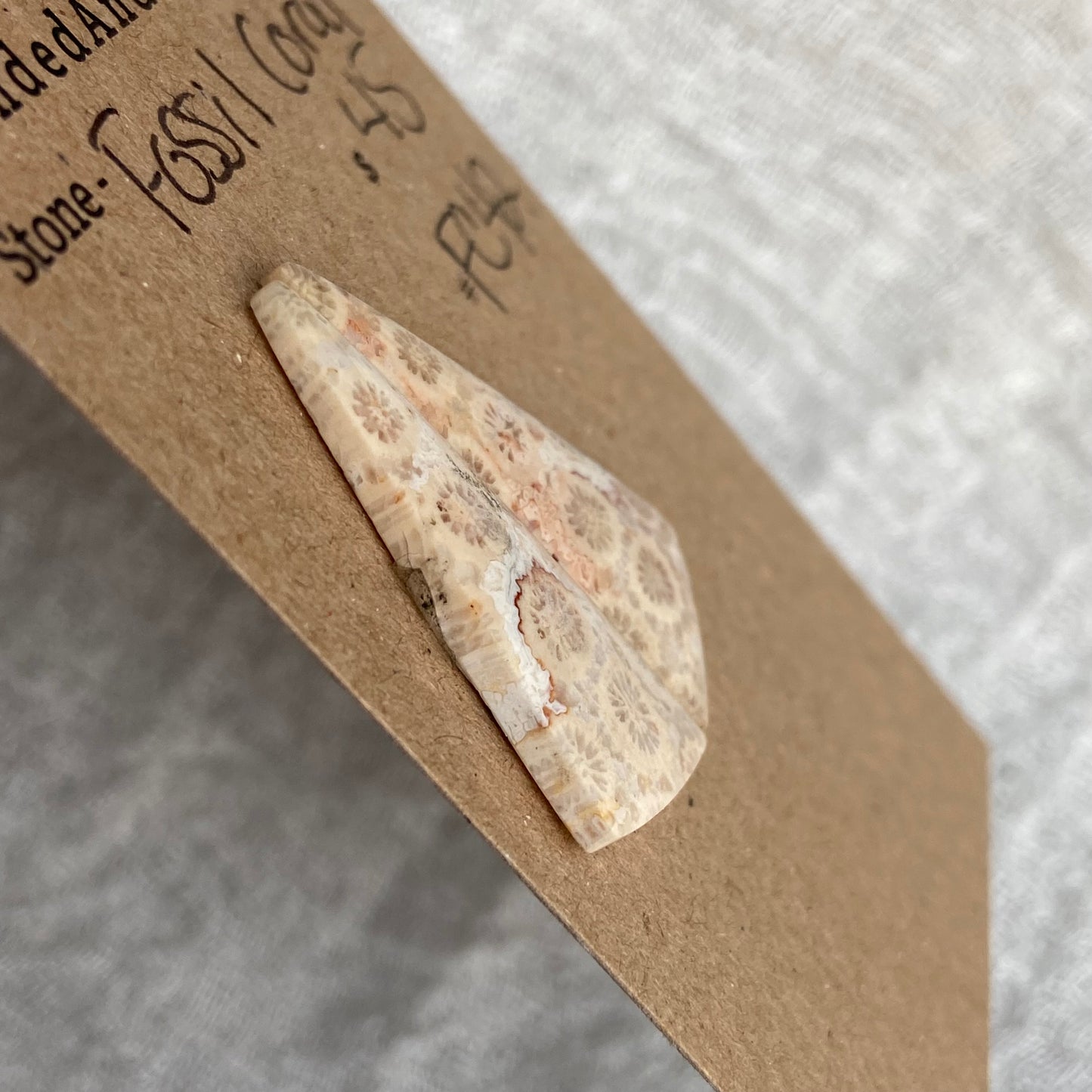 Fossil Coral Cabochon - FC42
