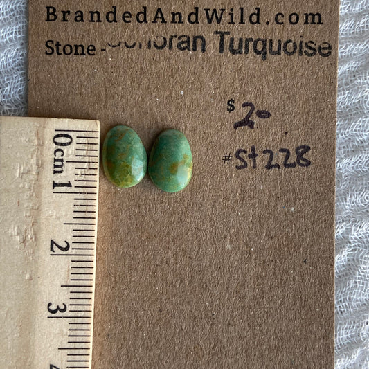 Sonoran Turquoise Cabochon - ST228