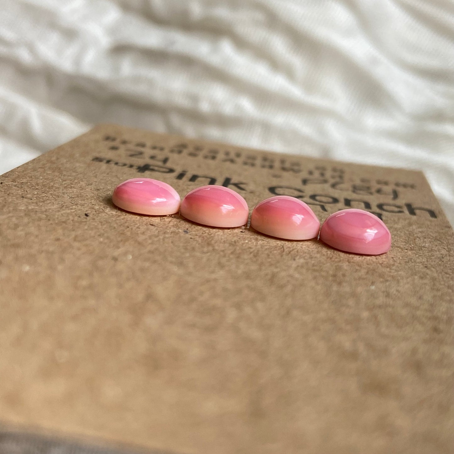 Pink Conch Cabochon - PC84
