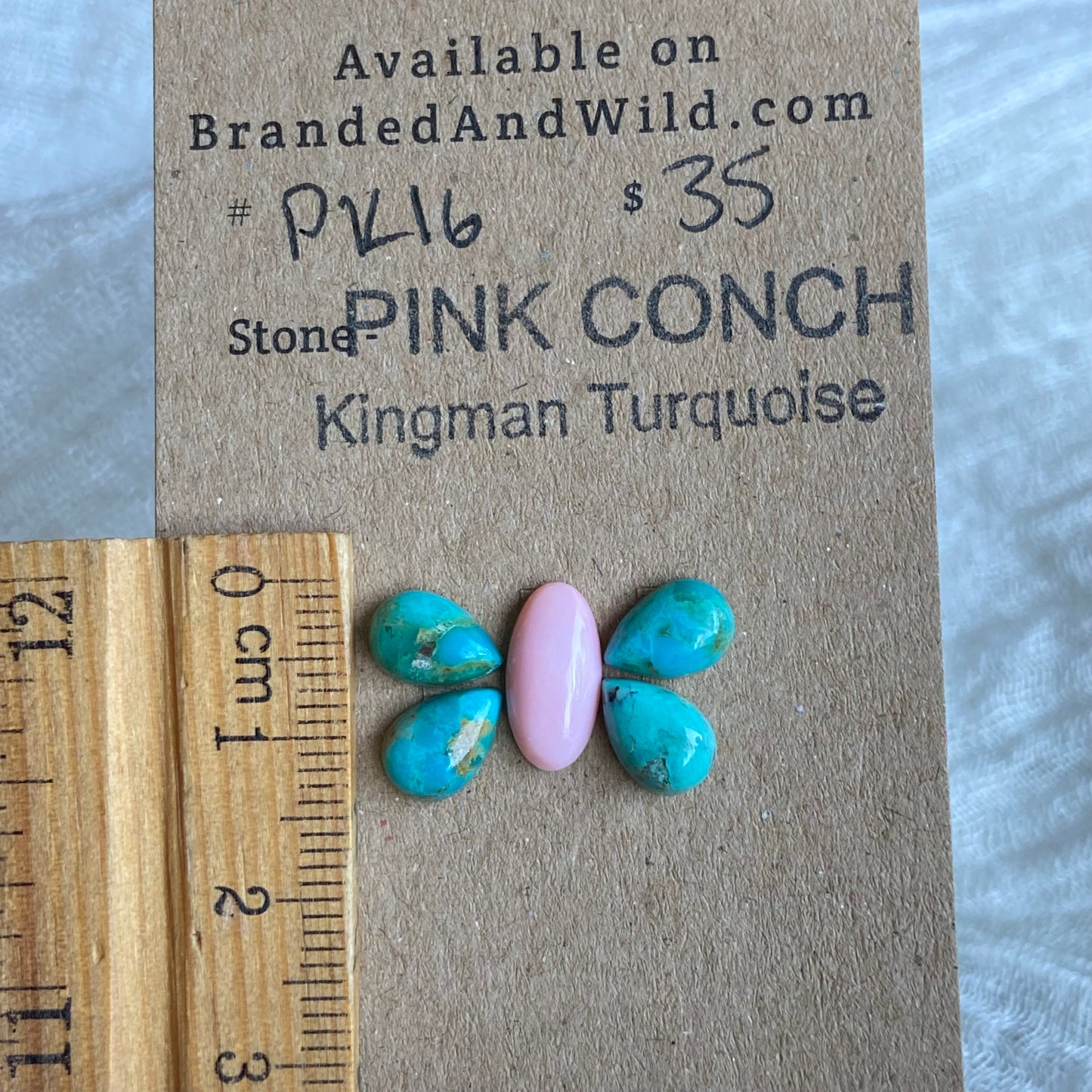 Pink Conch / Oyster Shell Cabochon - PK16