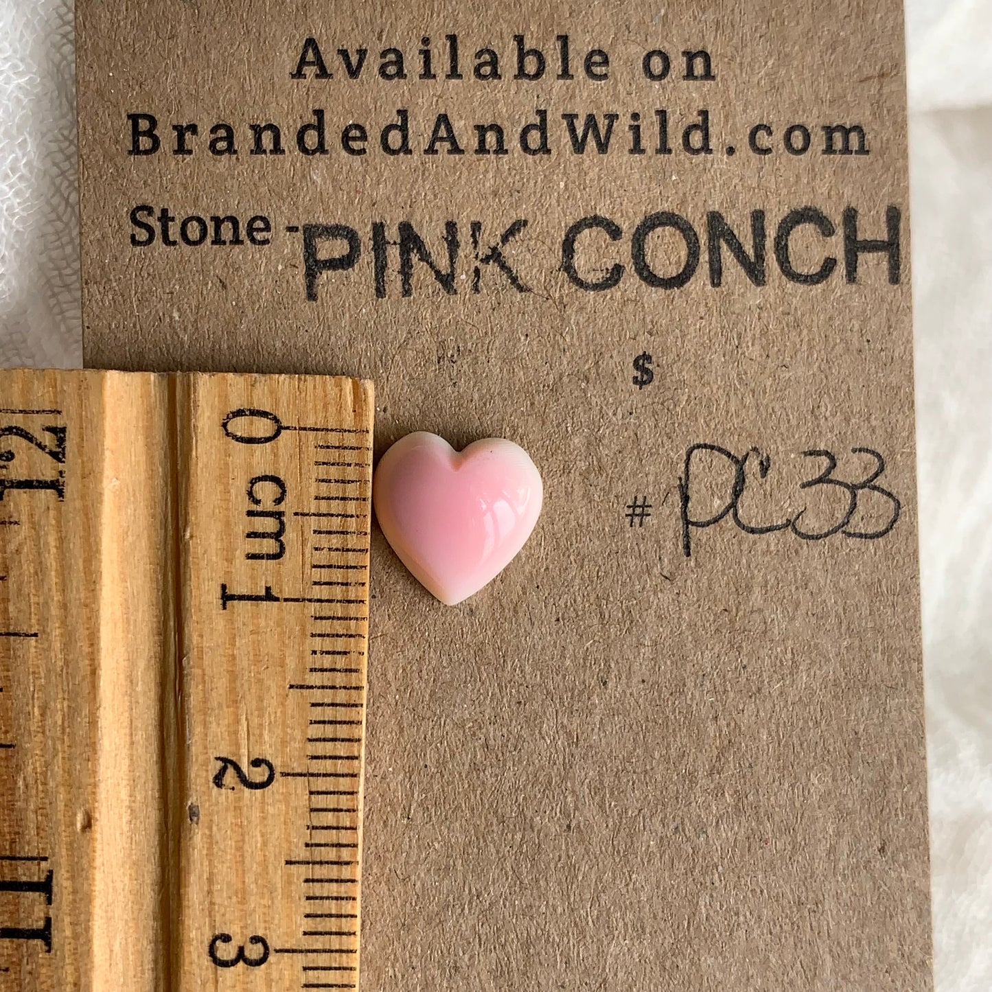 Pink Conch Cabochon - PC33