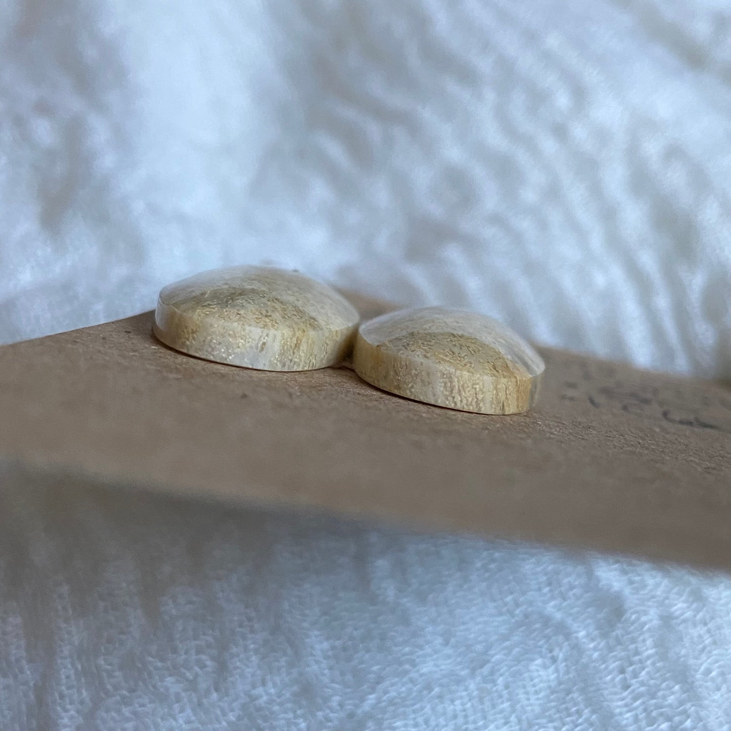 Fossil Coral Cabochon - FC65