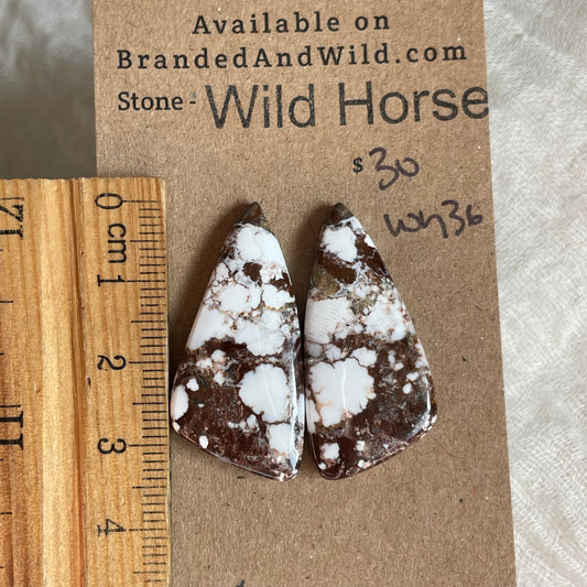Wild Horse Cabochon - WH36