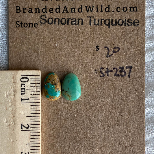 Sonoran Turquoise Cabochon - ST237