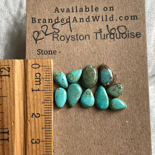 Royston Turquoise Cabochon - RR57 138971CE-E1D9-48F7-A43F-FEAA291DBFDE Brandedandwild.com