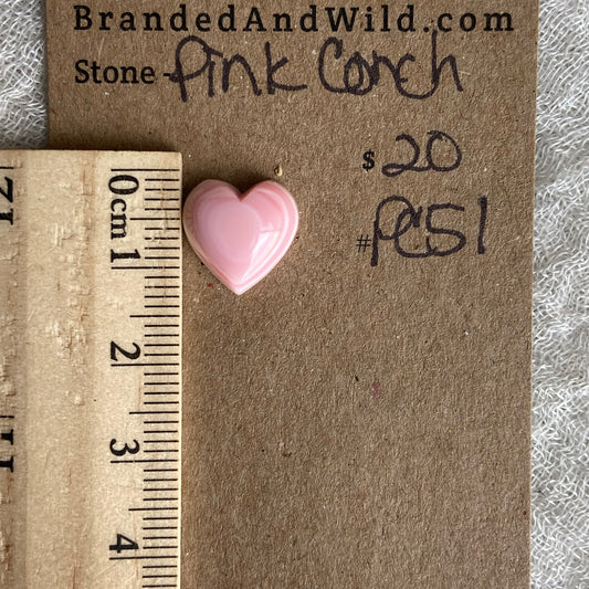 Pink Conch Cabochon - PC51