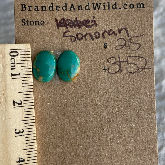 Sonoran Turquoise Cabochon - ST52
