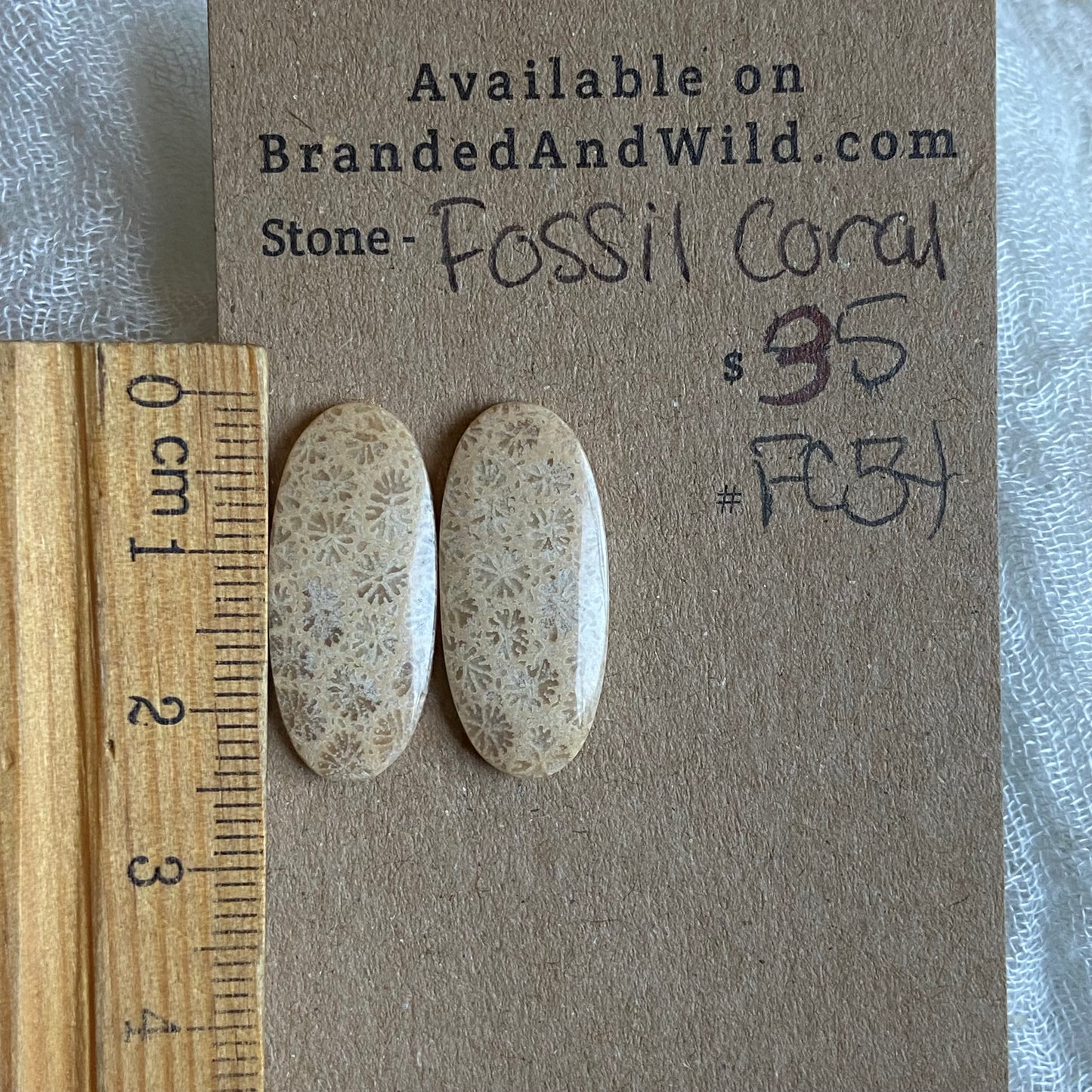 Fossil Coral Cabochon - FC54