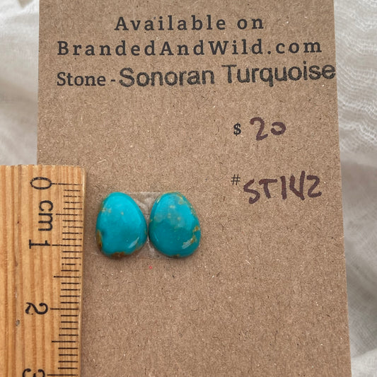 Sonoran Turquoise Cabochon - ST142