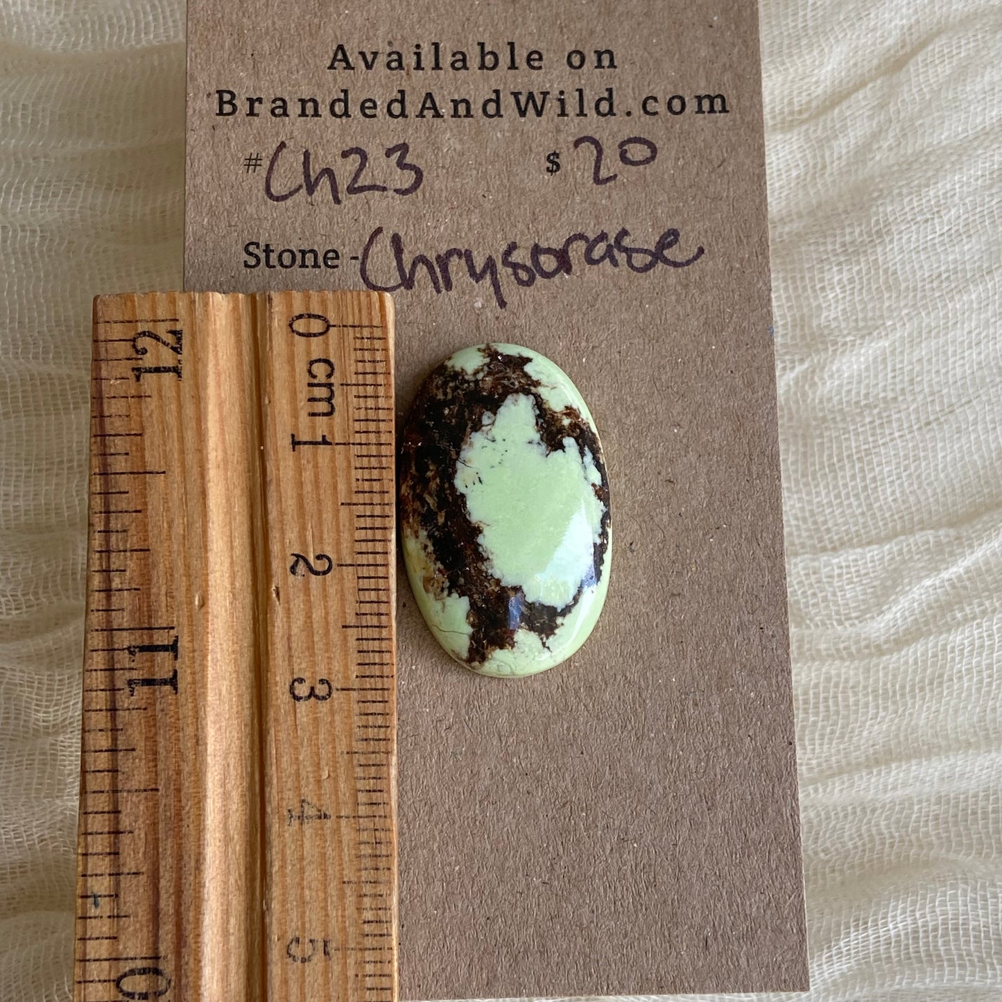 Chrysoprase Cabochon - Ch23