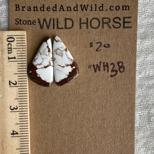 Wild Horse Cabochon - WH38