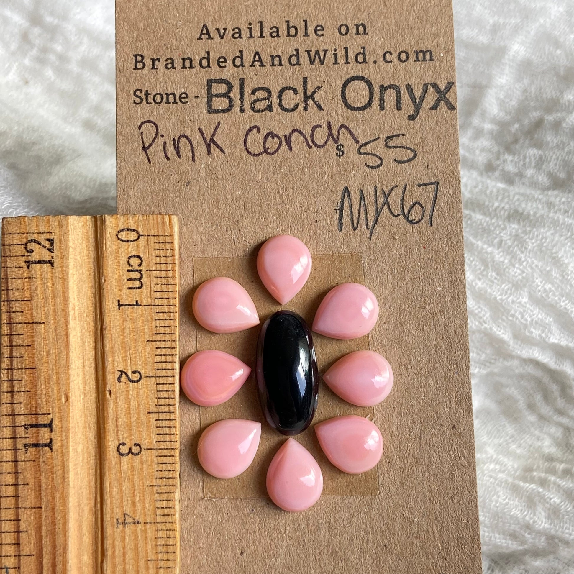 Black Conch / Pink Conch Cabochon - Mix67 143FF29C-7276-437D-ACA1-95B2ED835F1D Brandedandwild.com