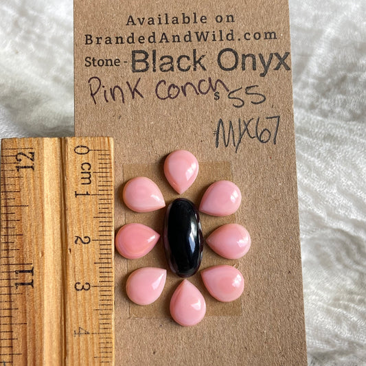 Black Conch / Pink Conch Cabochon - Mix67 143FF29C-7276-437D-ACA1-95B2ED835F1D Brandedandwild.com