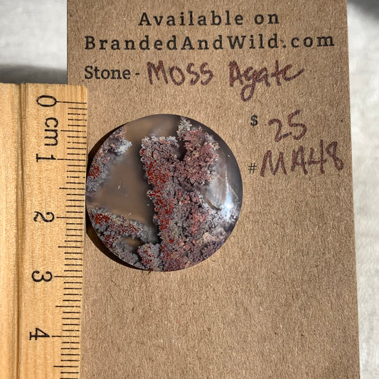 Moss Agate Cabochon- MA48