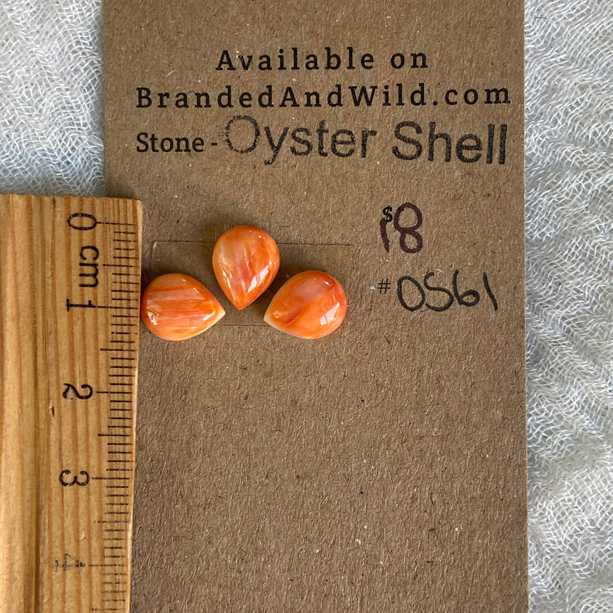 Oyster Shell Cabochon - OS61