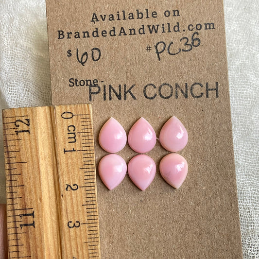 Pink Conch Cabochon - PC36 1486F328-D2A4-47A3-89E6-4C2A6B6ABBEE Brandedandwild.com