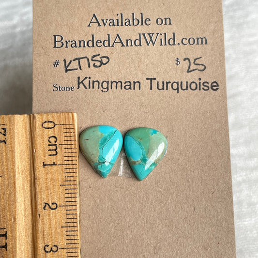 Kingman Turquoise Cabochon - KT150 14A73A32-0372-4C30-9F41-554ED1EF4D52 Brandedandwild.com