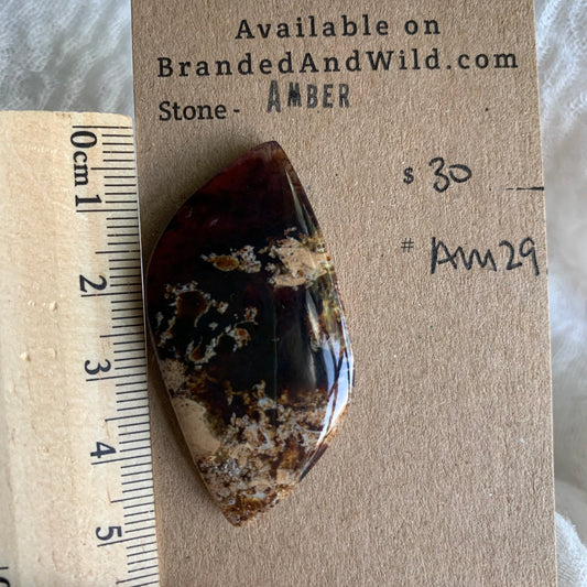 Amber Cabochon AM29