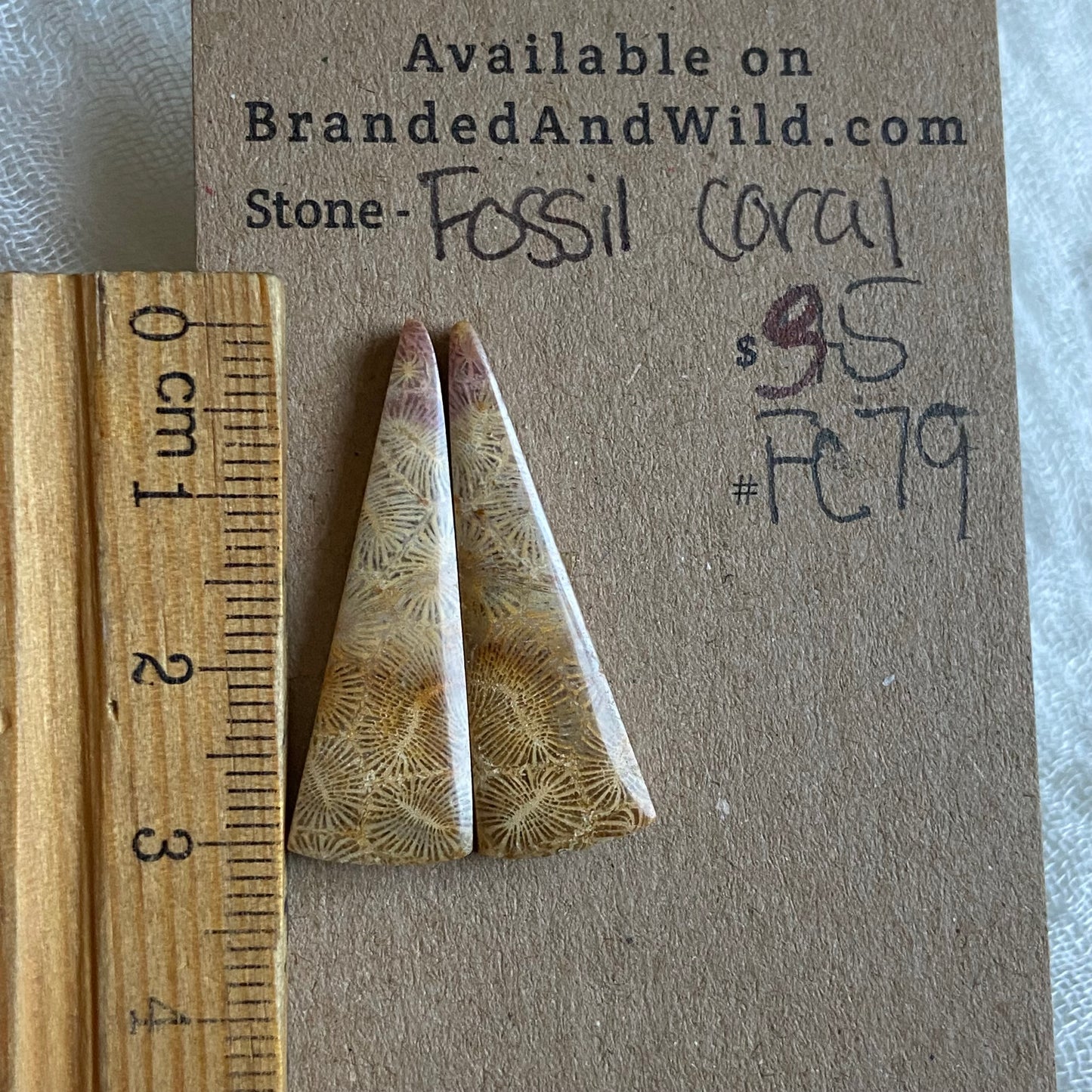 Fossil Coral Cabochon - FC79