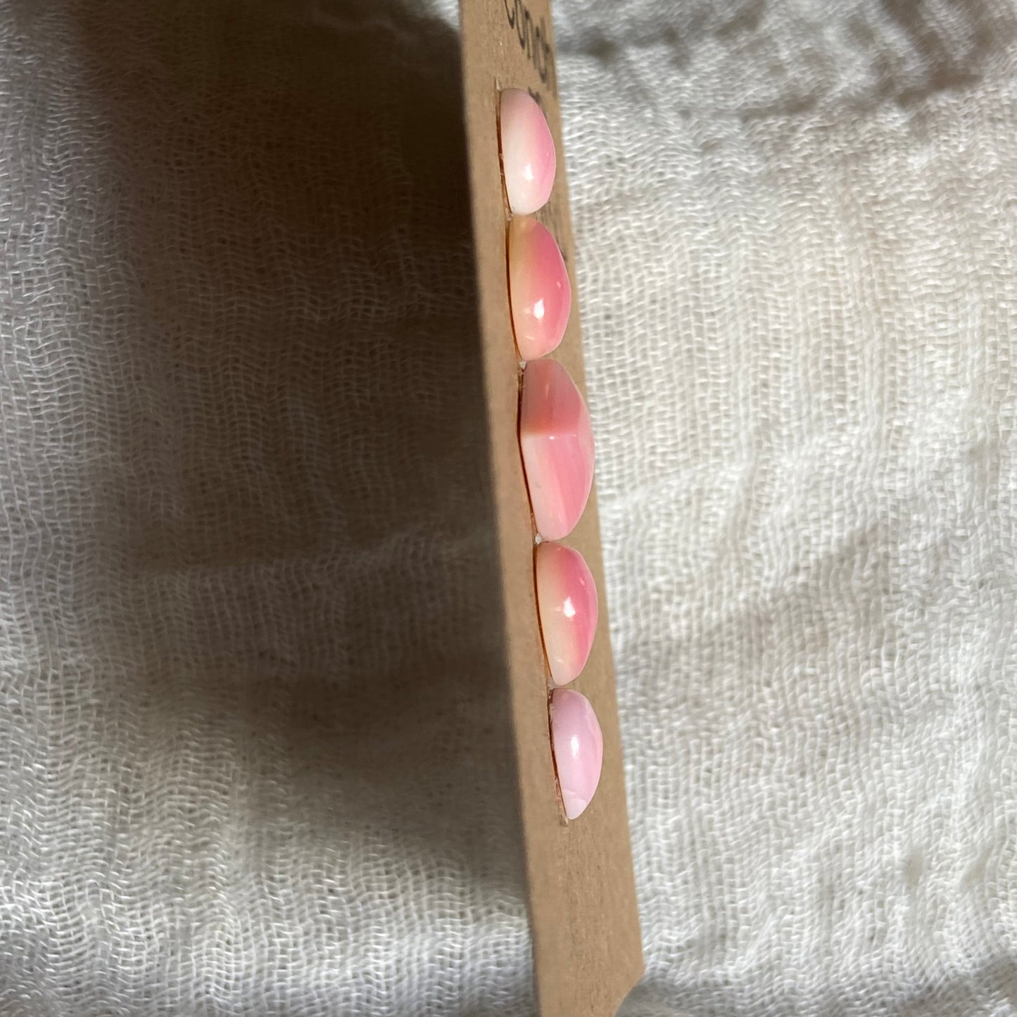 Pink Conch Cabochon - PC04