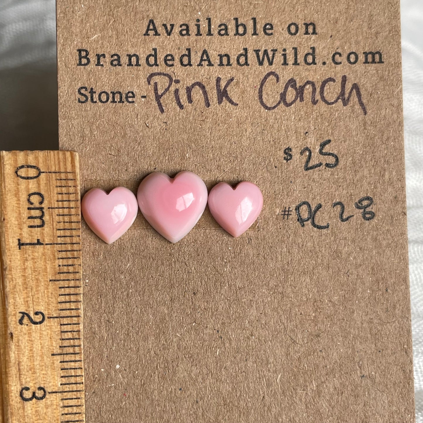 Pink Conch Cabochon - PC28 14E74B57-8AD8-40A9-8732-E48145693546 Brandedandwild.com