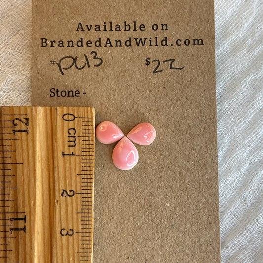 Pink Conch Cabochon - PC13