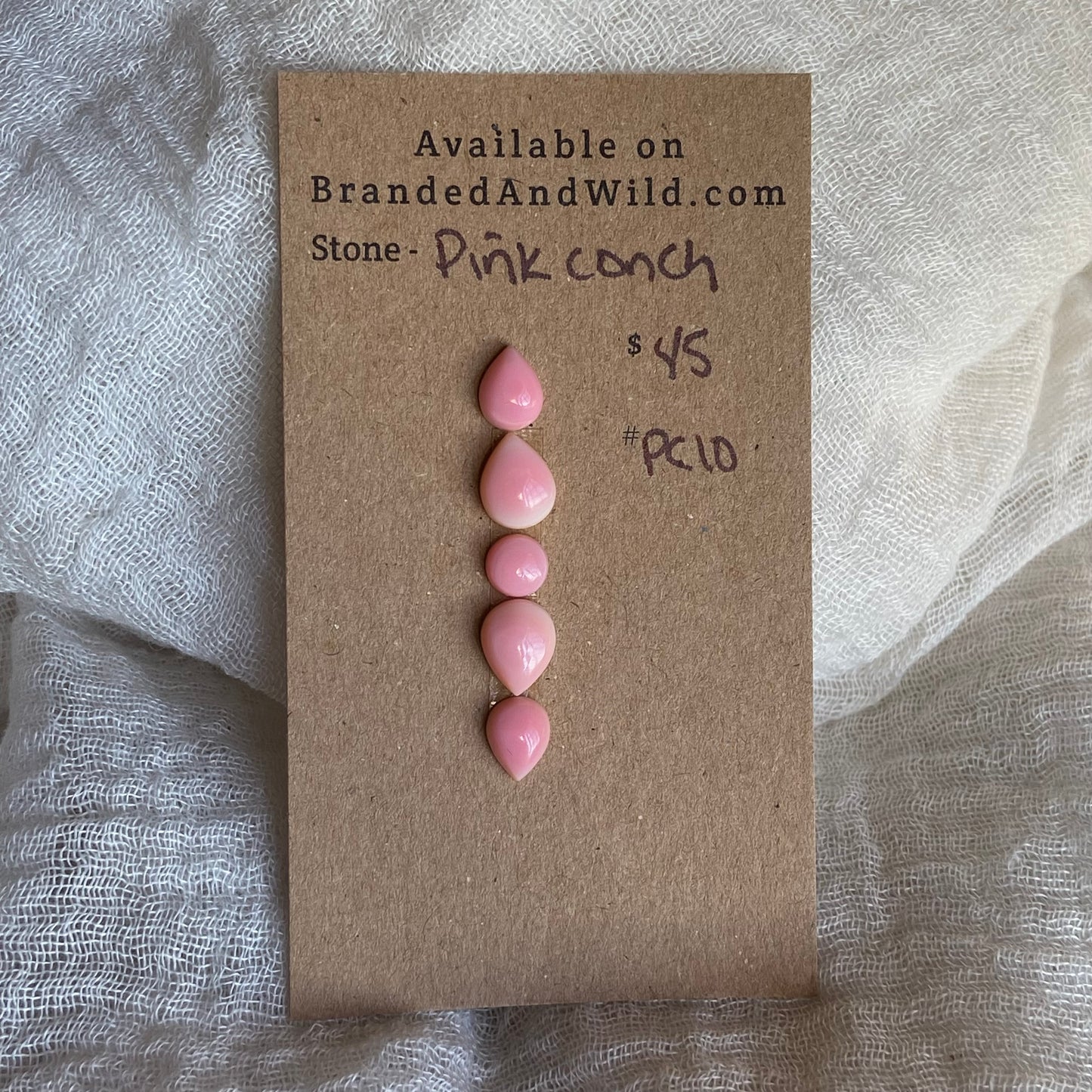 Pink Conch Cabochon - PC10