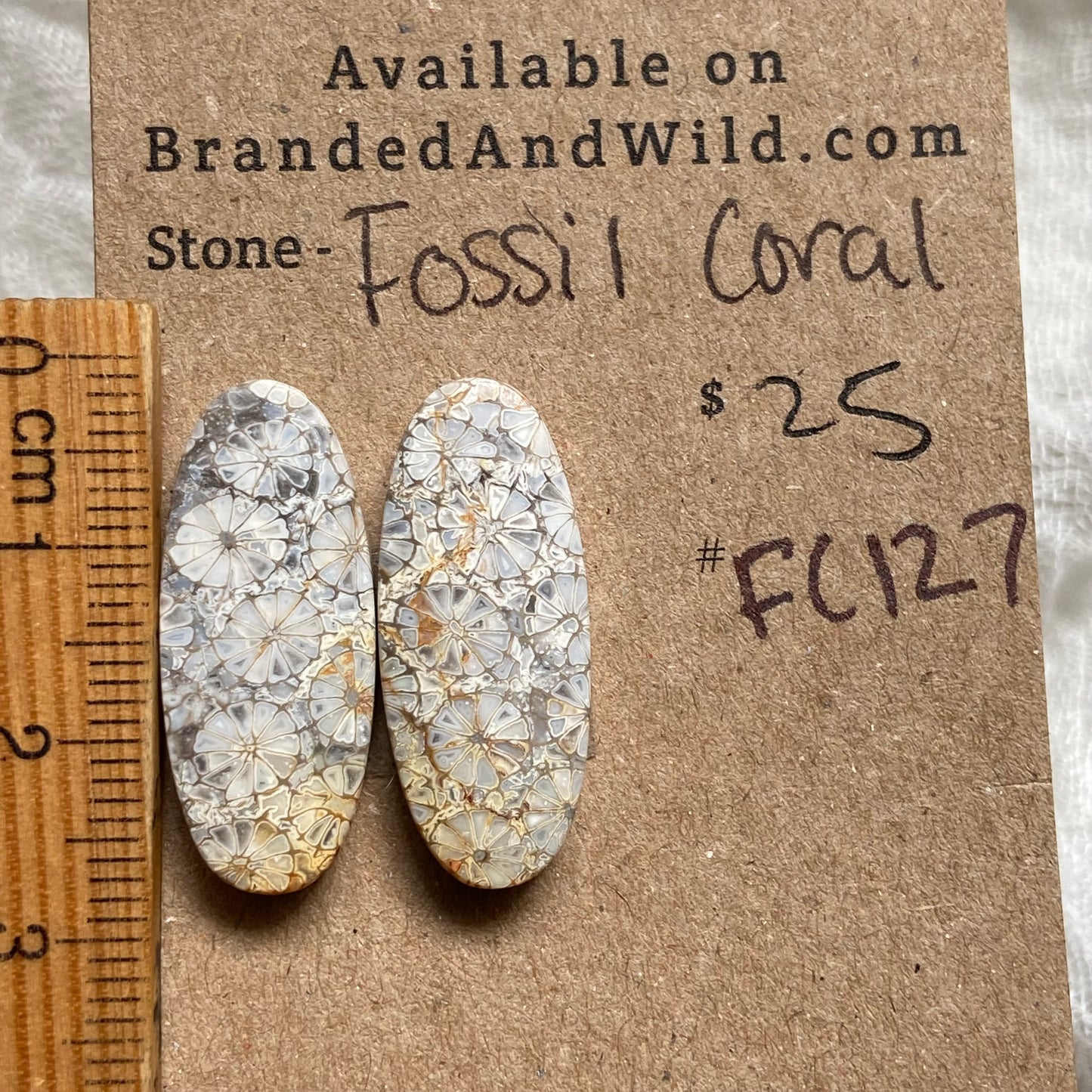 Fossil Coral Cabochon - FC127