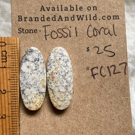 Fossil Coral Cabochon - FC127 1572ED1B-56A3-4953-A1C5-E0BE3436B030 Brandedandwild.com