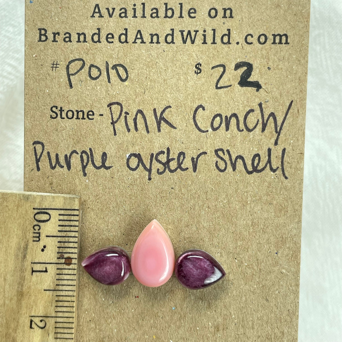 Pink Conch / Oyster Shell Cabochon - PO10 158F55F2-12AD-4CC9-A3DB-4E16EA537568 Brandedandwild.com