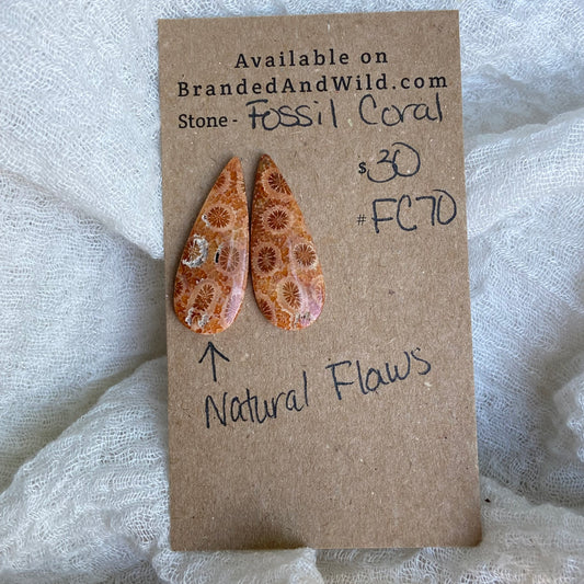 Fossil Coral Cabochon - FC70