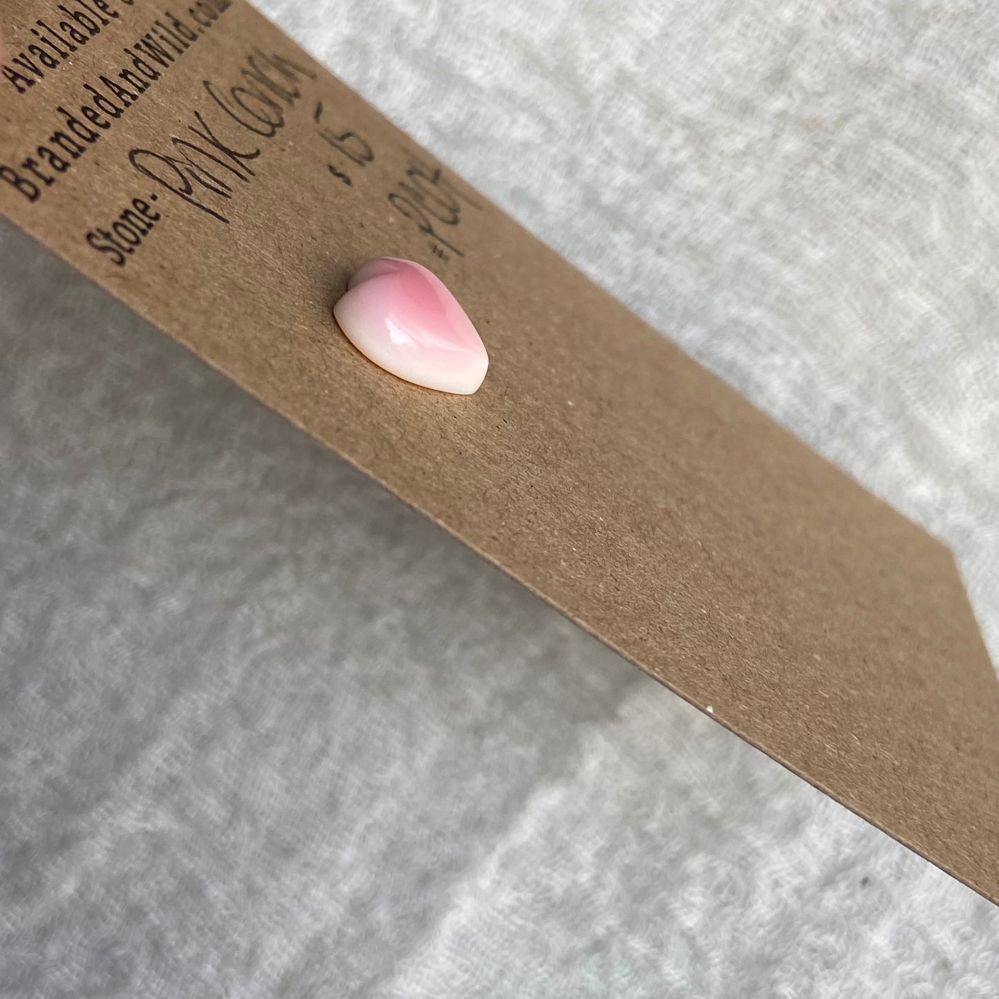 Pink Conch Cabochon - PC04
