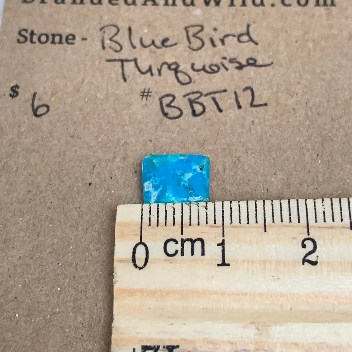 Blue Bird Turquoise Cabochon - BBT12