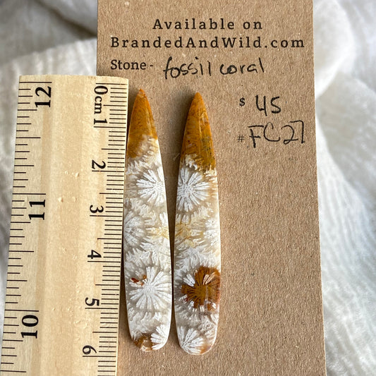 Fossil Coral Cabochon - FC27
