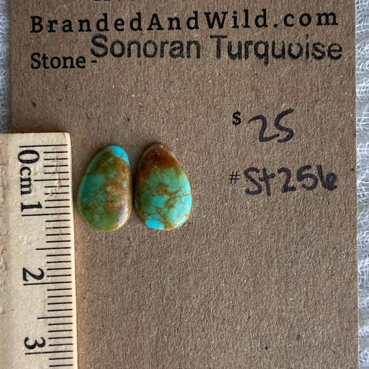 Sonoran Turquoise Cabochon - ST256
